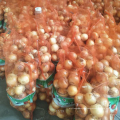 Wholesale 10kg bag red yellow fresh onion to Malaysia